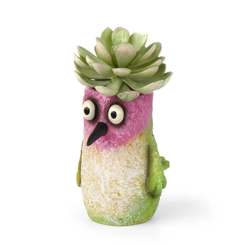 hummingbird succulent plant Mini Hummingbird Planter – Earthwild.com / Blue Planet Outdoors