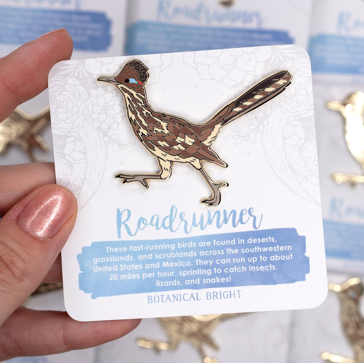 Roadrunner Enamel Pin