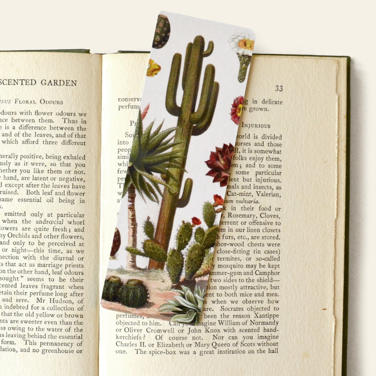 Botanical Cactus and Marbled Tassel Bookmark