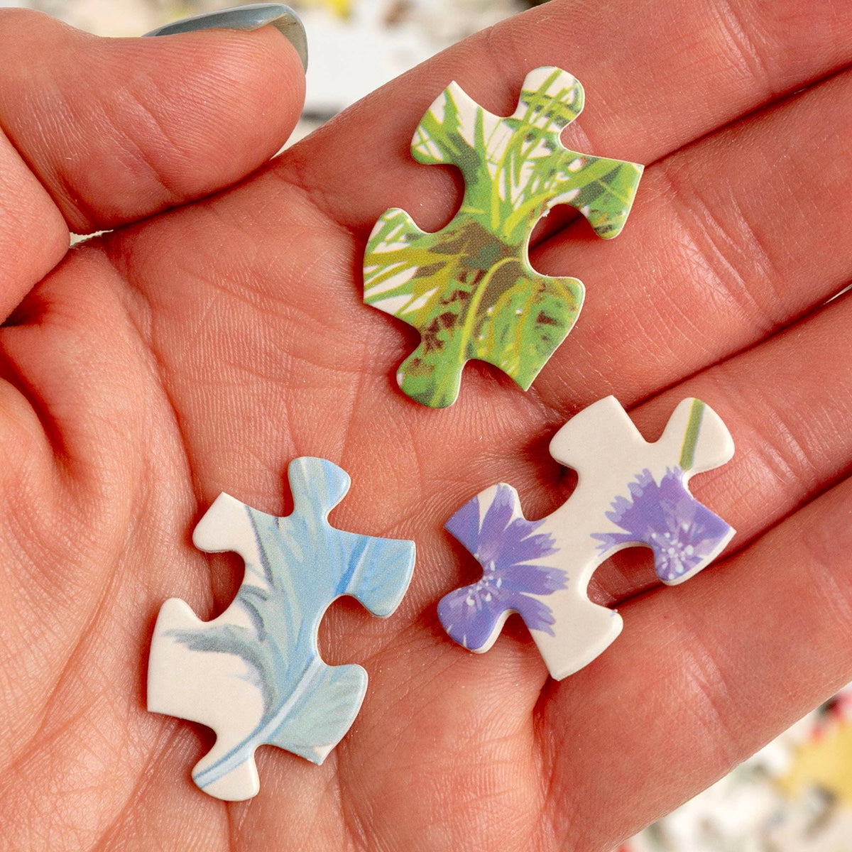 Feathered Friends - 1,000 Piece Bird Puzzle