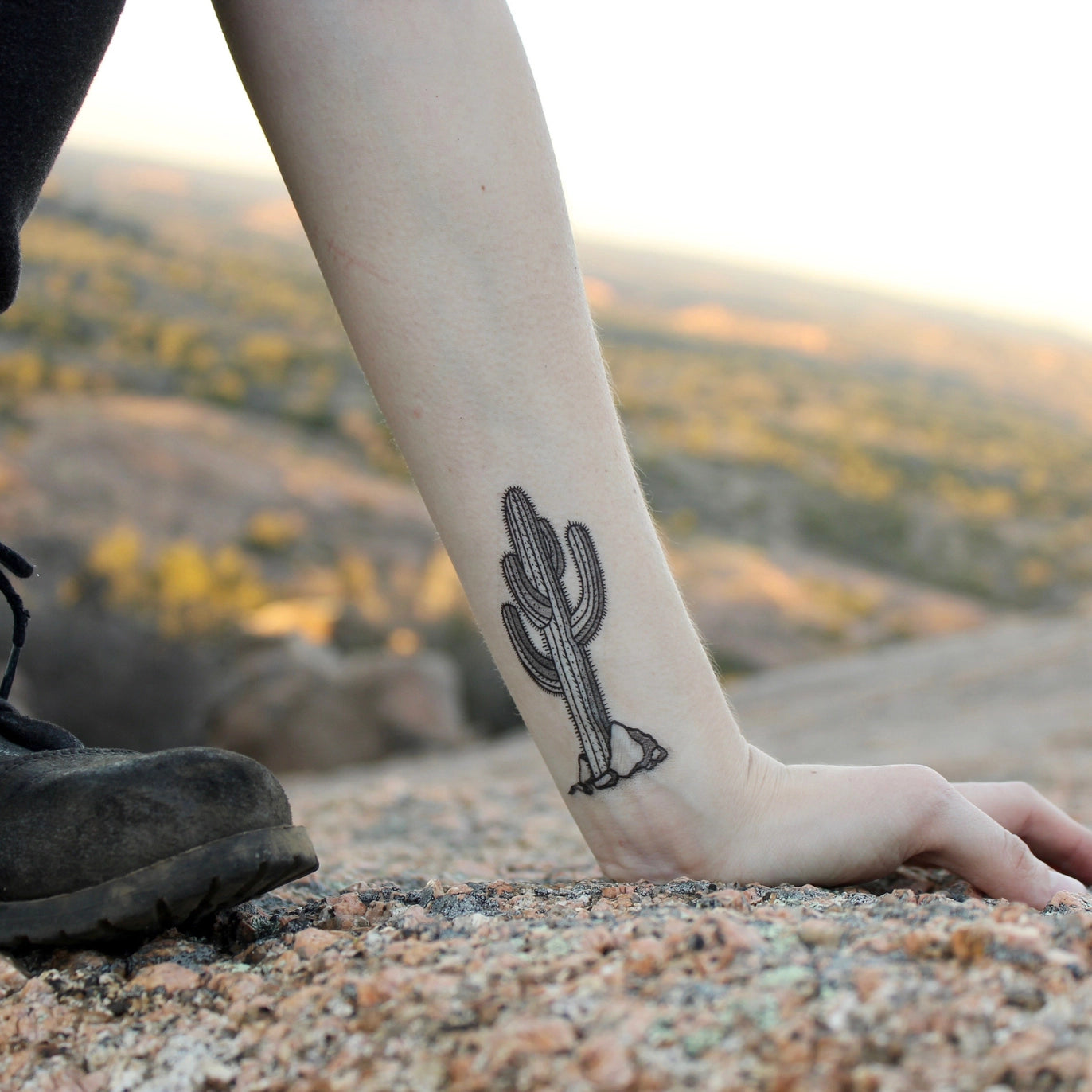 The Wild Desert Temporary Tattoo Sheet
