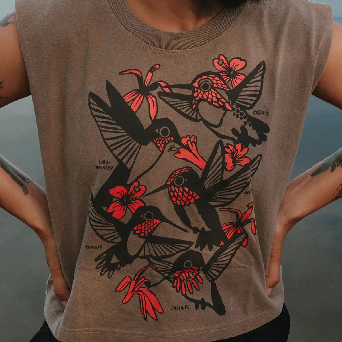 Hummingbirds Tank