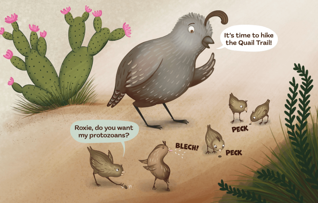 Quail Trail Book