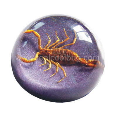 Golden Scorpion Small Dome Paper Weight
