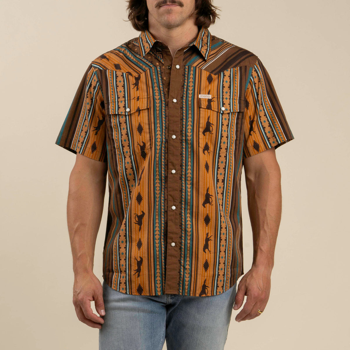Serape Pearl Snap Button Up - Western Stripe