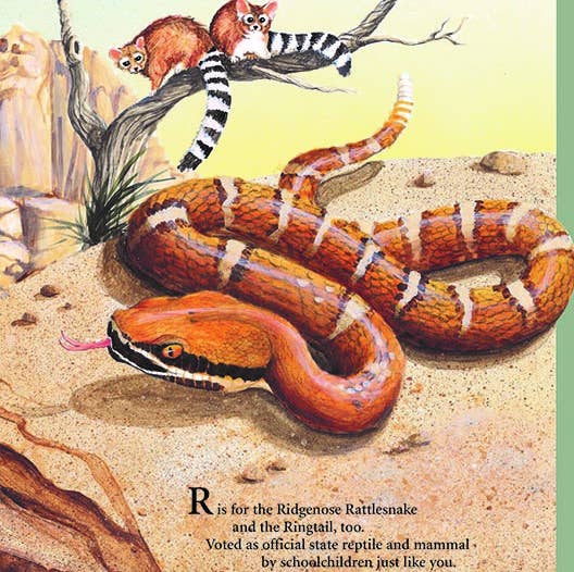 G is for Grand Canyon Book