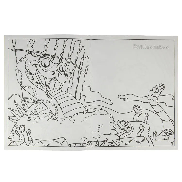 The Wild Desert Coloring Book