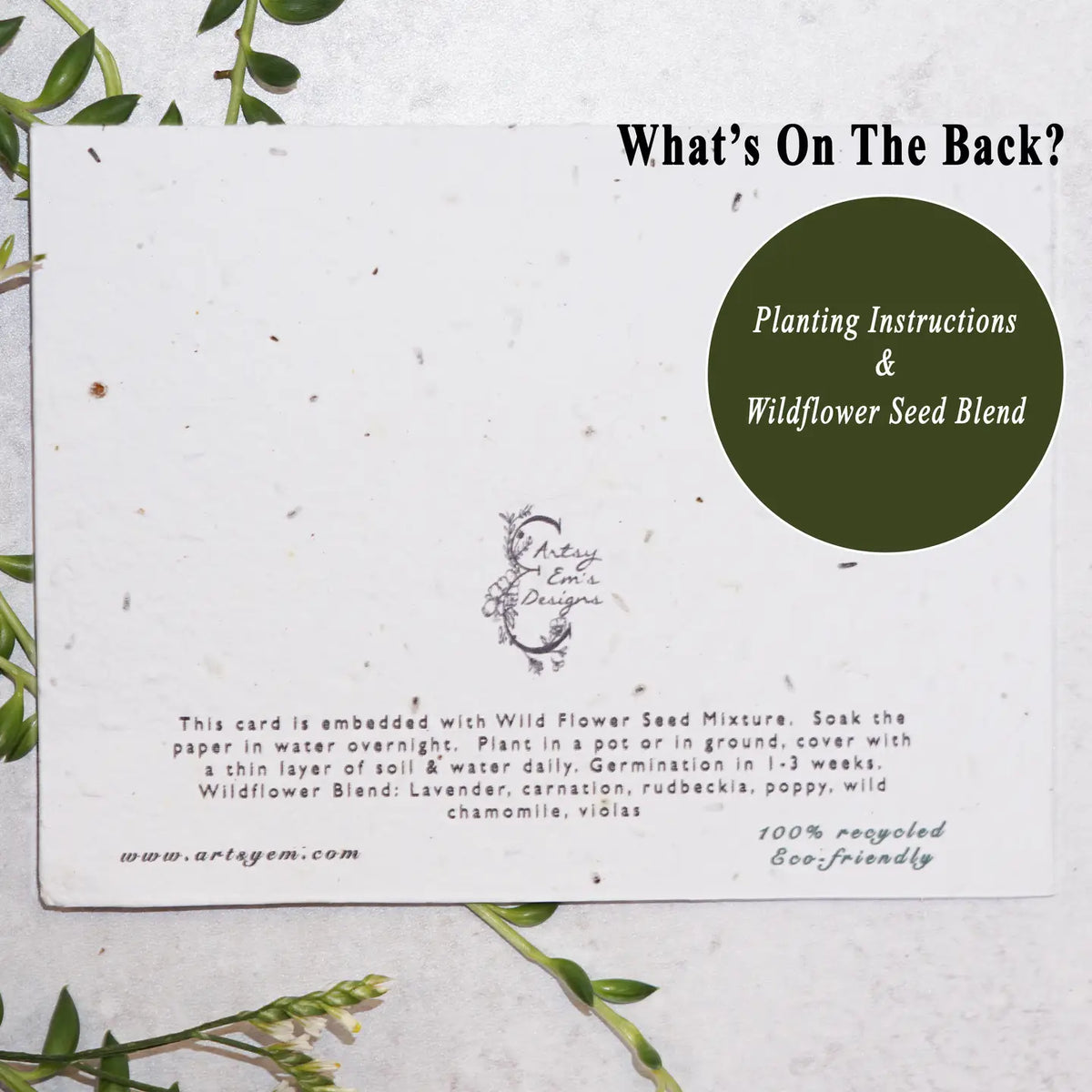 Back of seed card showing a large olive green circle with planting instructions and seed blend details.