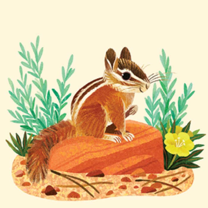 Animals of the National Parks Travel Match