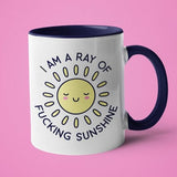 Ray of Fucking Sunshine Mug