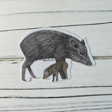 Javelina & Baby Sticker
