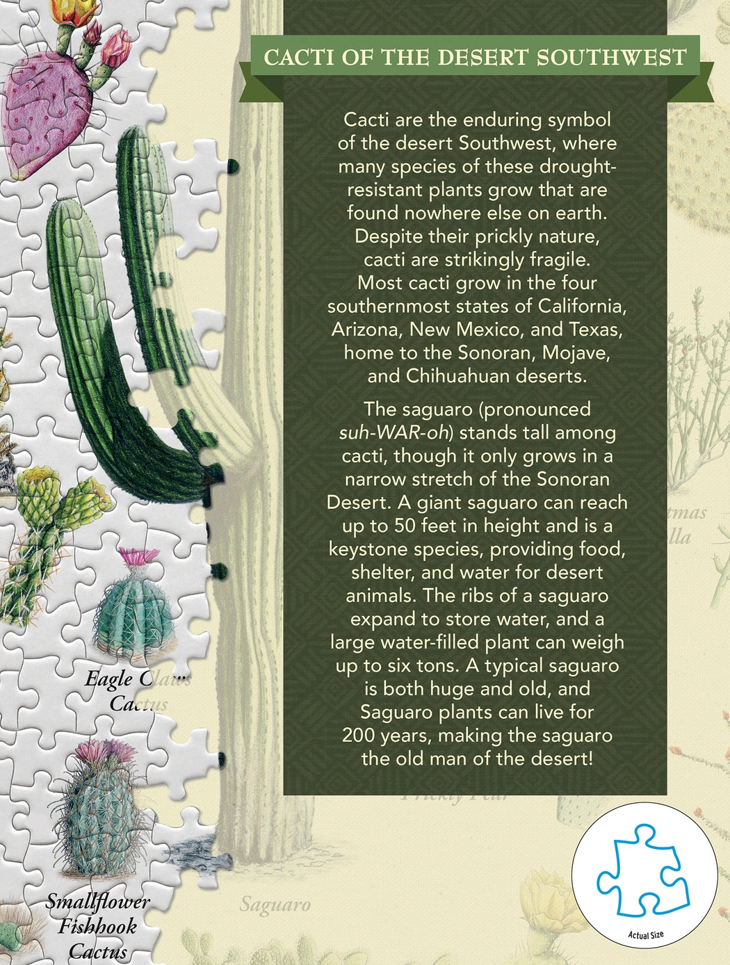 Cacti of the Desert Southwest 1000 Piece Puzzle