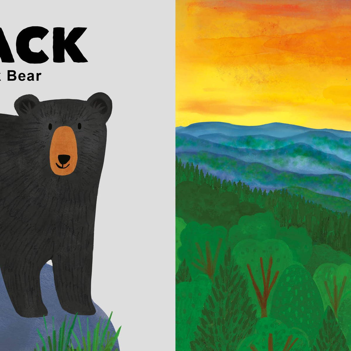 Colors of the National Parks Board Book