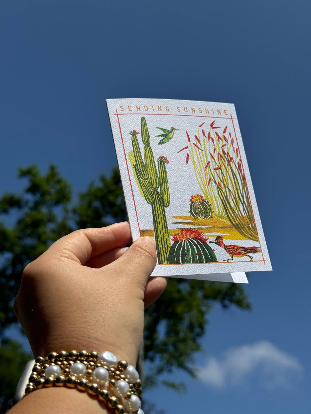 Sending Sunshine Desert Greeting Card