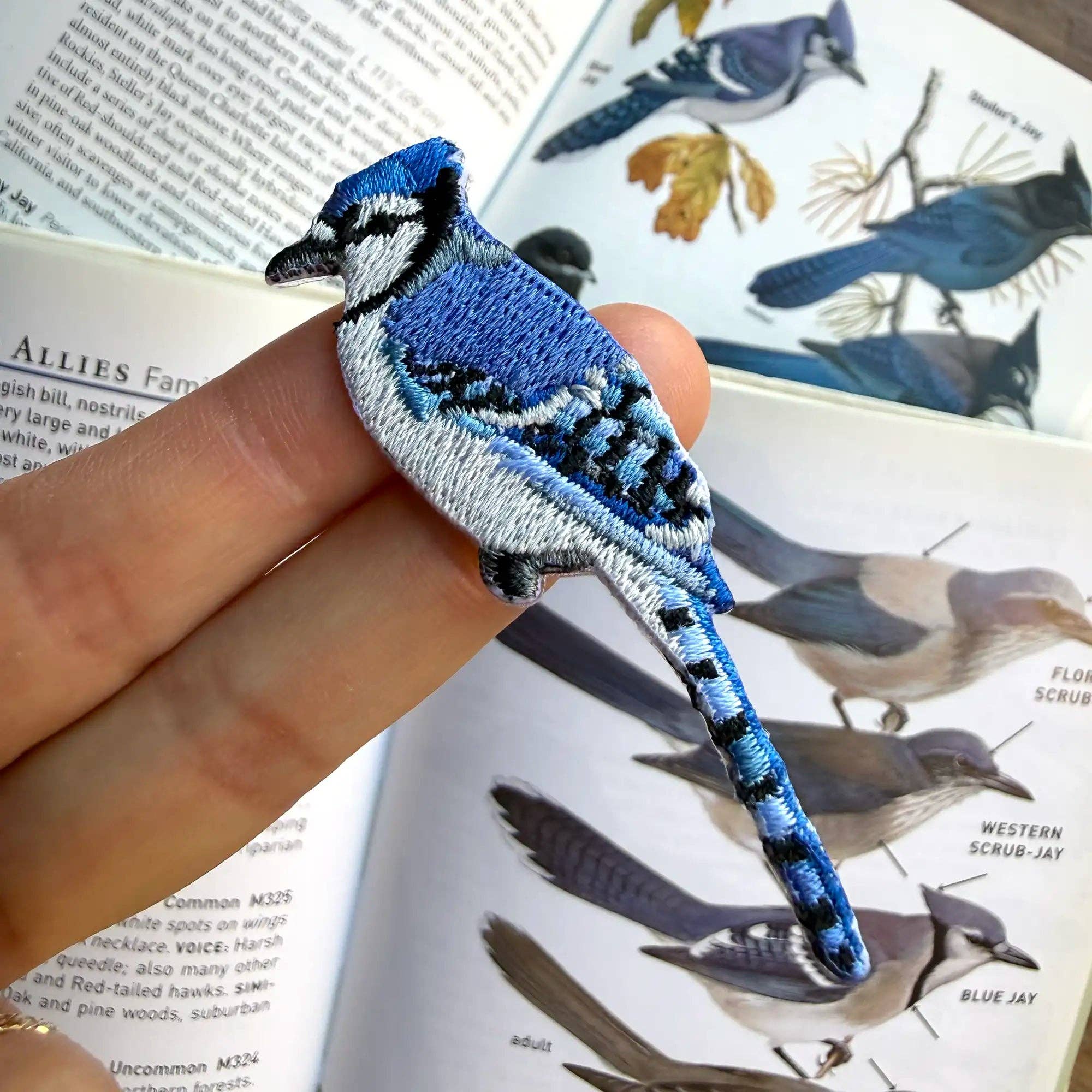 Blue Jay Patch