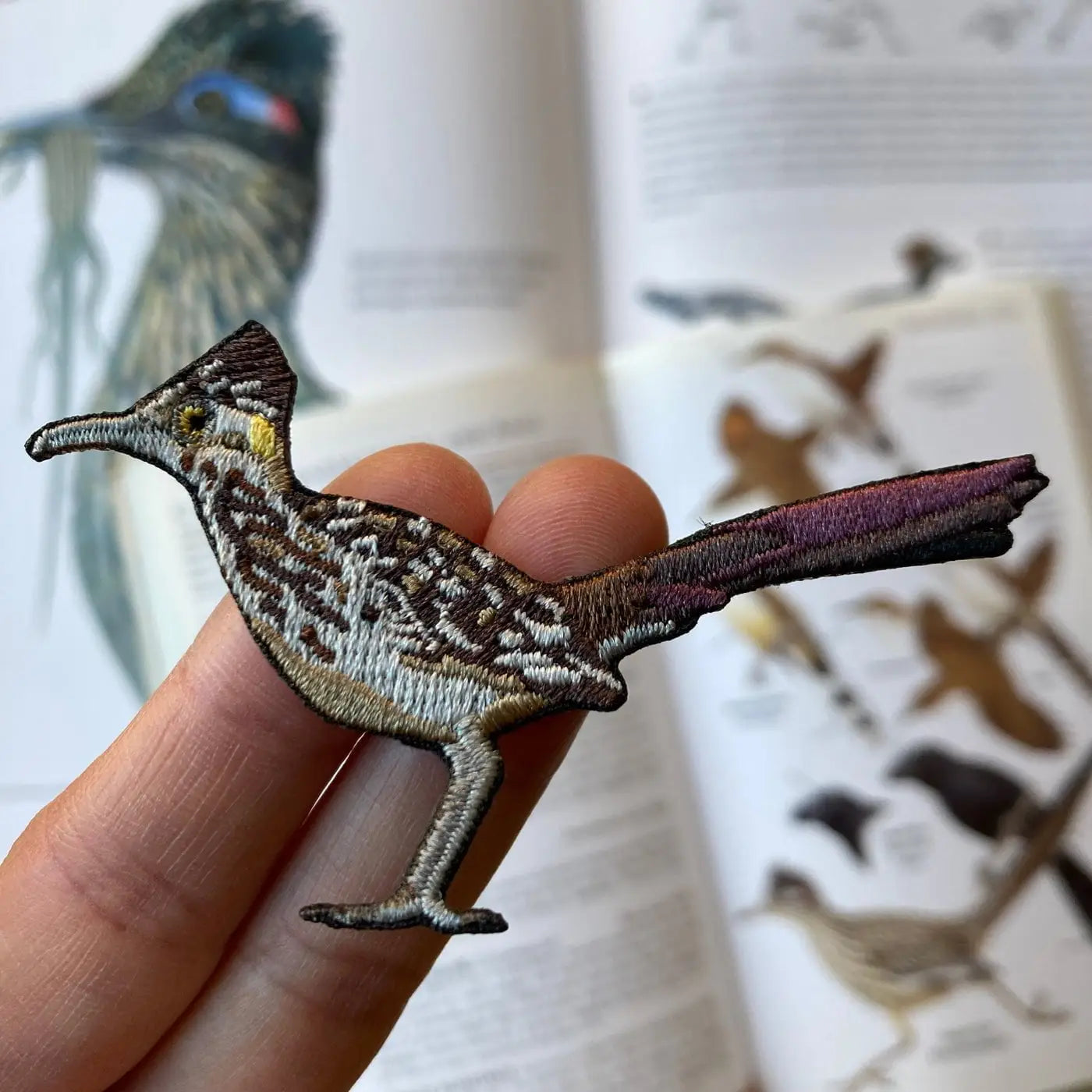 The Greater Roadrunner Patch