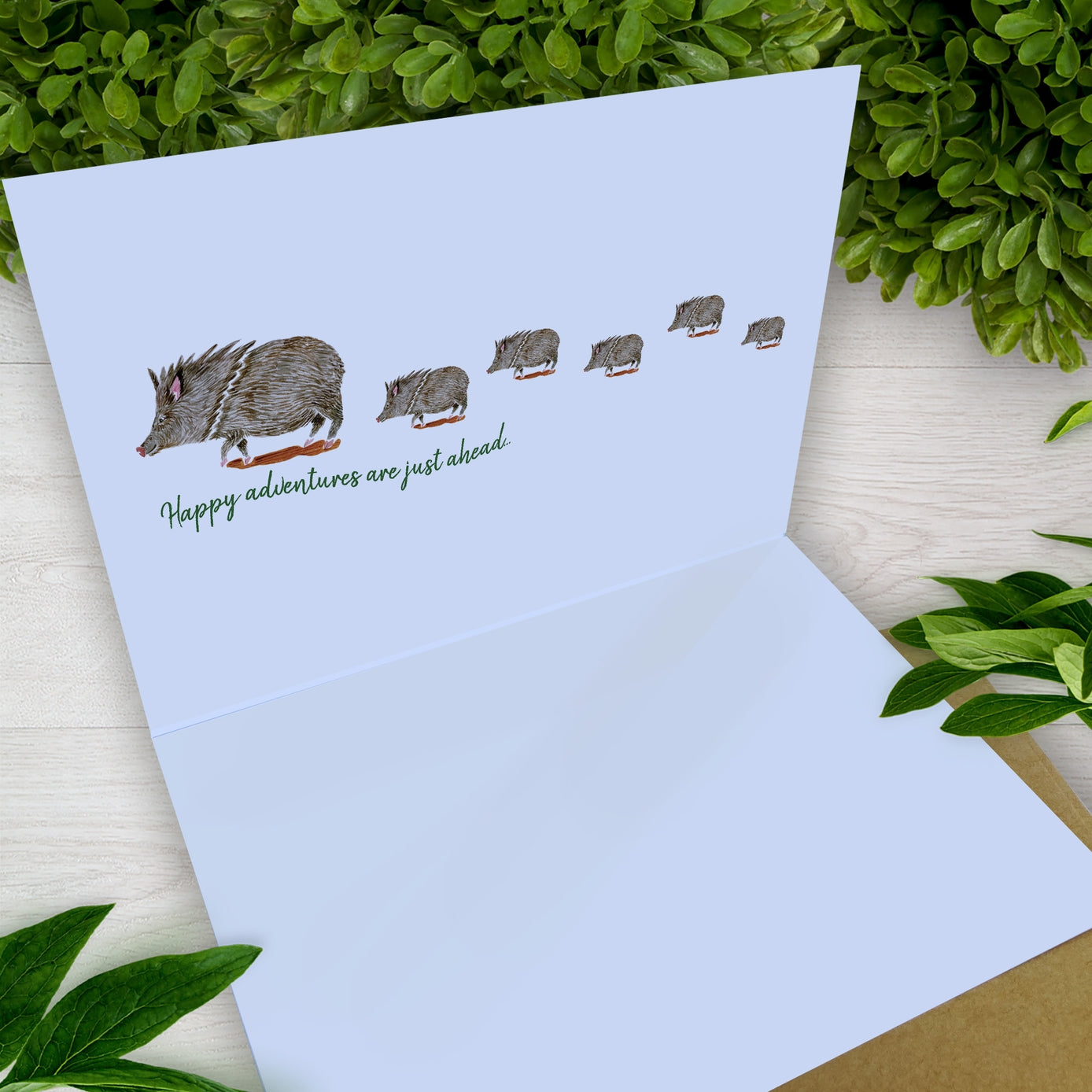 Javelina Desert Scene 5 X 7 Southwest Greeting Card