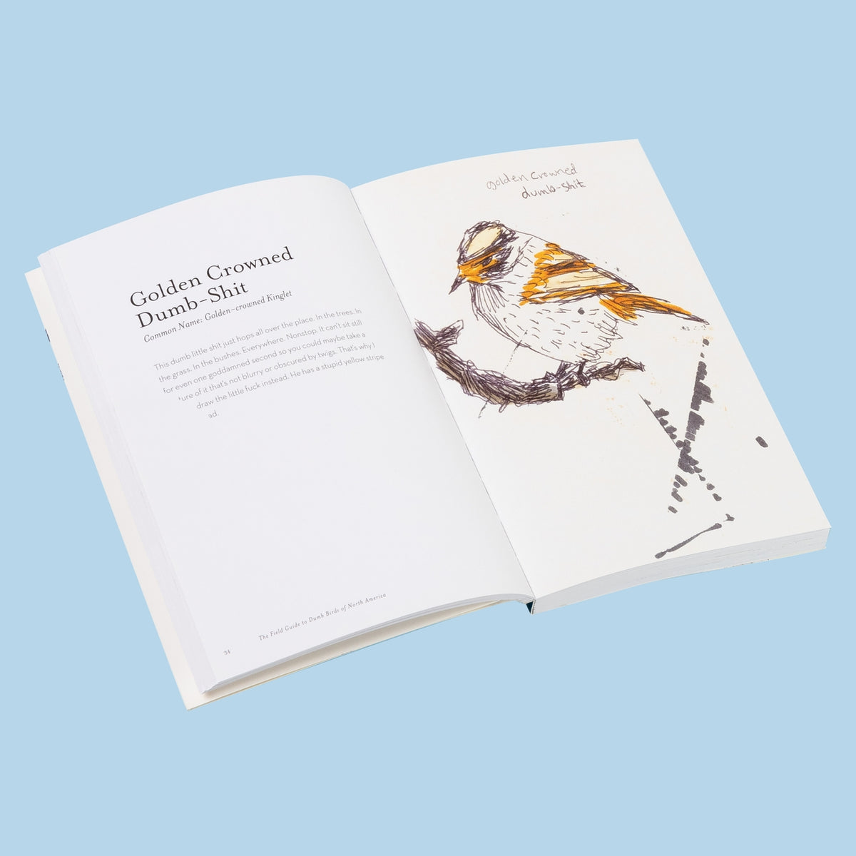The Field Guide To Dumb Birds of America