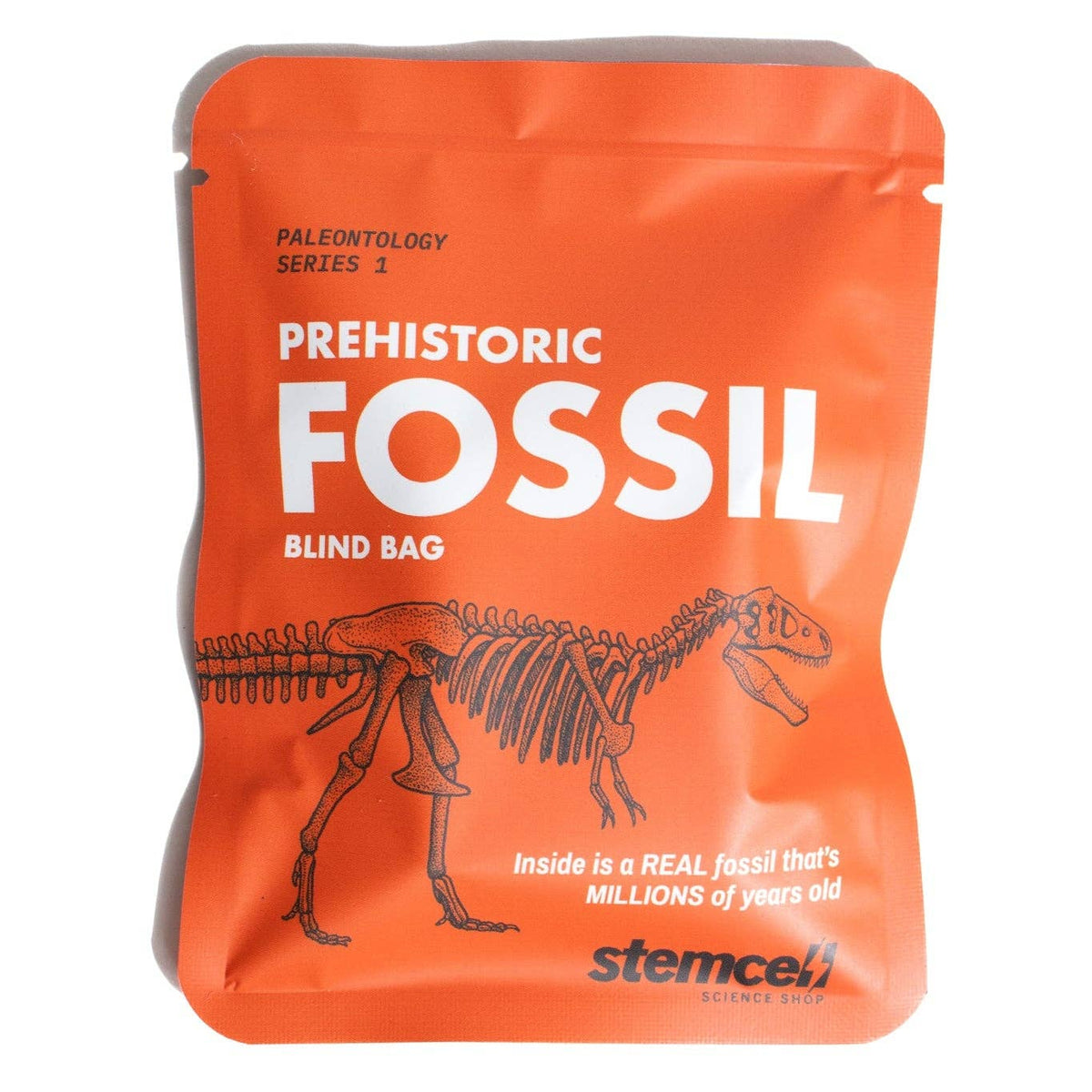 Fossil Blind Bag