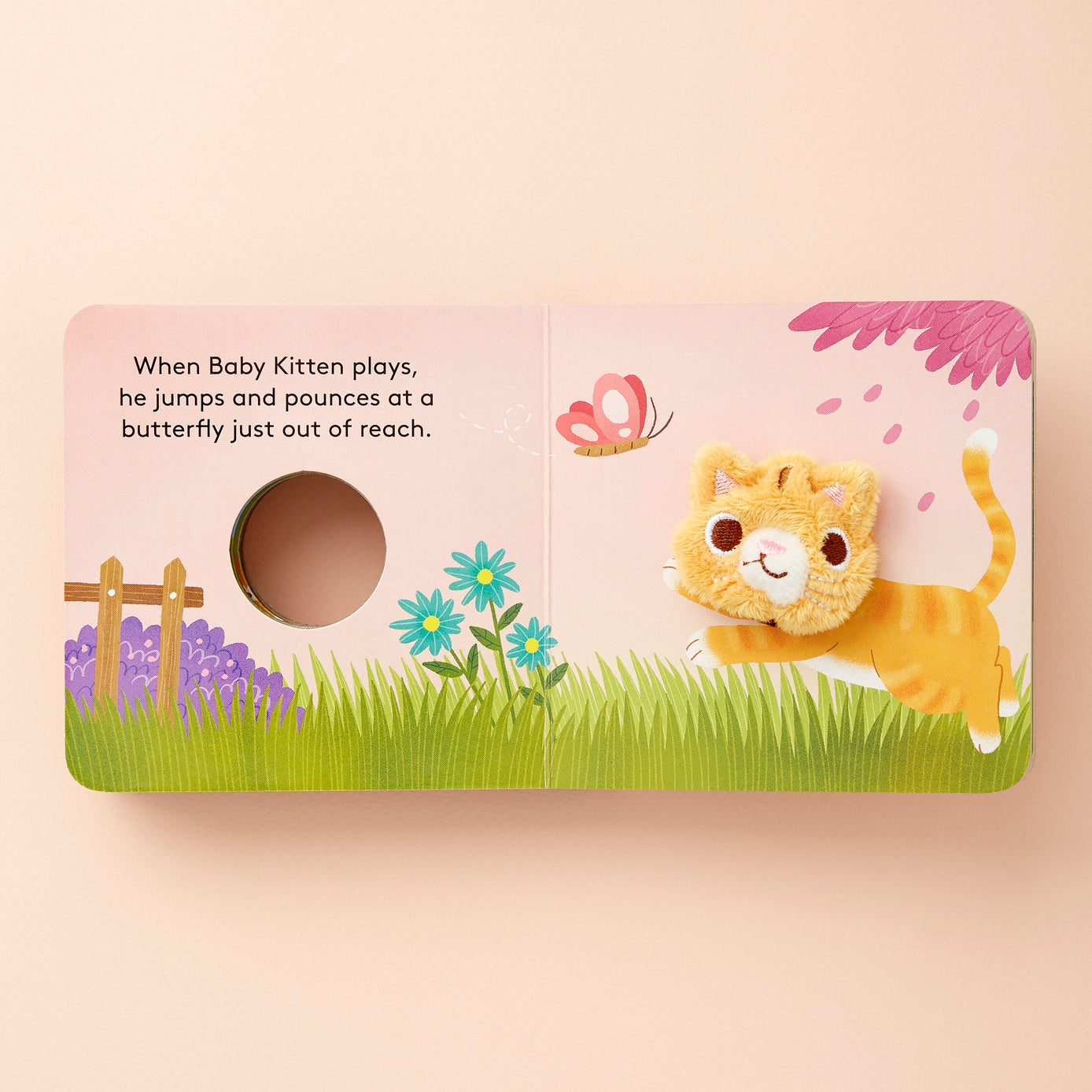Baby Kitten Board Book
