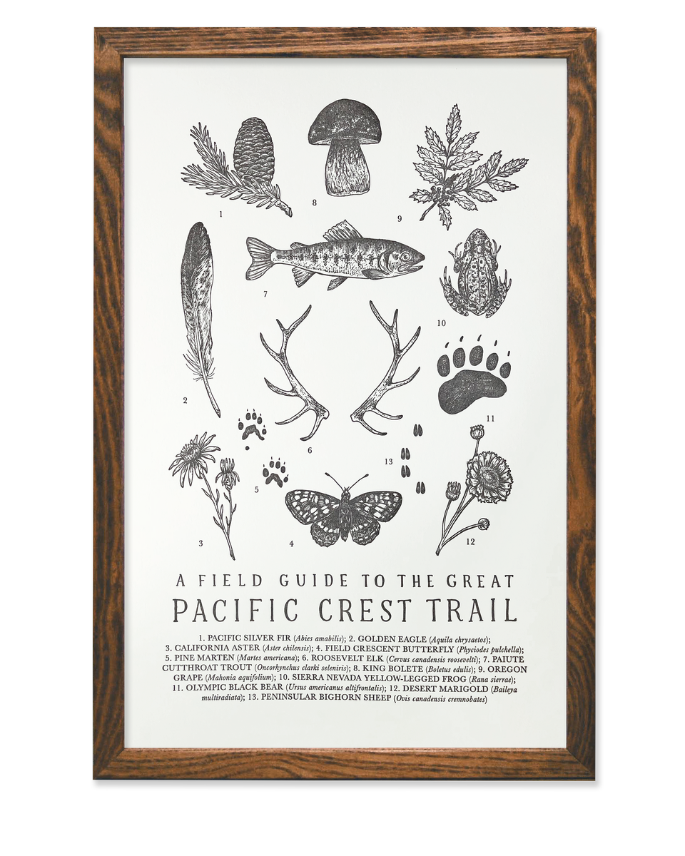 Pacific Crest Trail Guide Art Print - 11 x 17