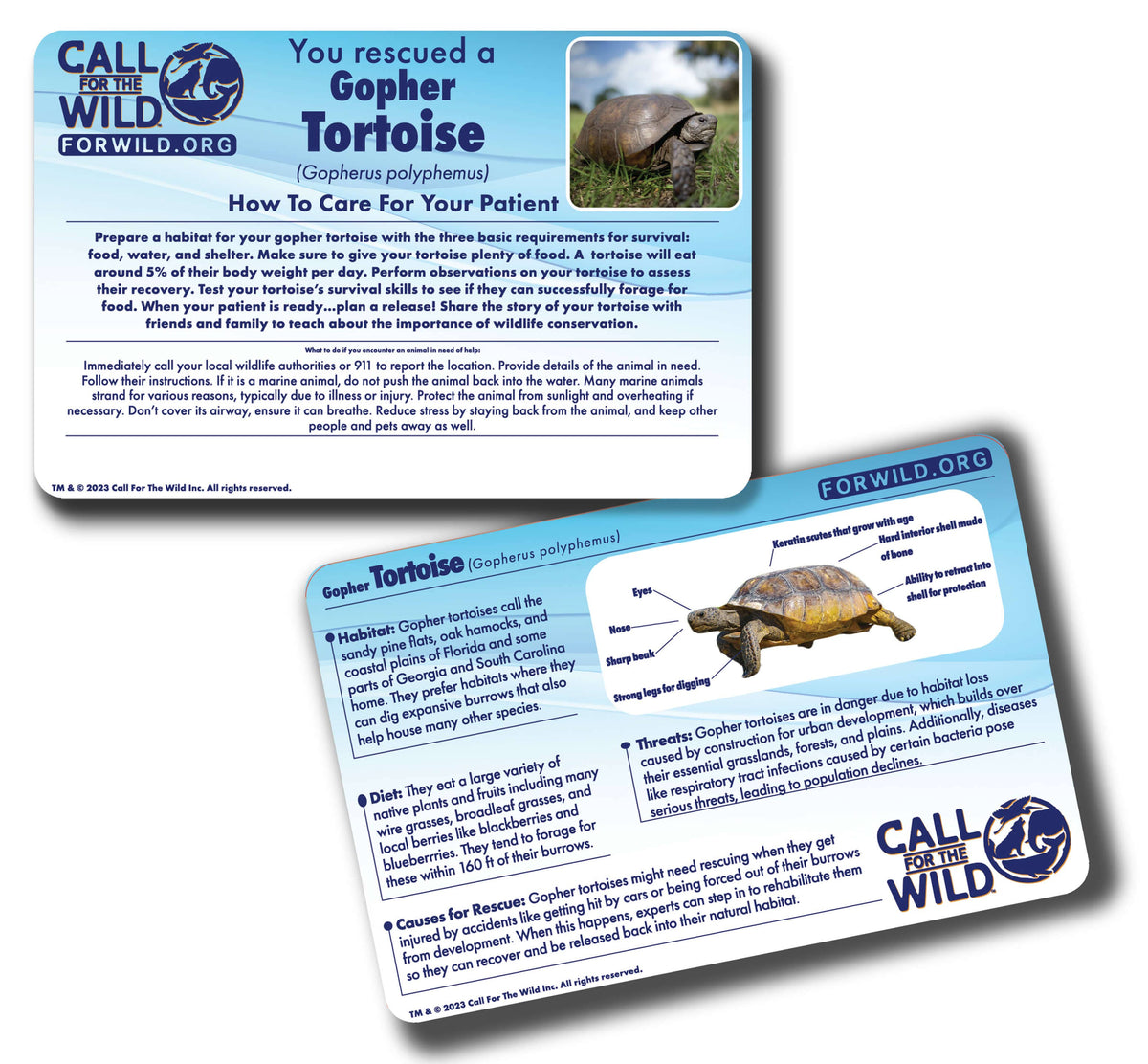 Wildlife Rescue - Desert Tortoise