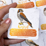 Kestrel Bird Enamel Pin