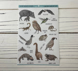 AZ Animal Sticker Sheet