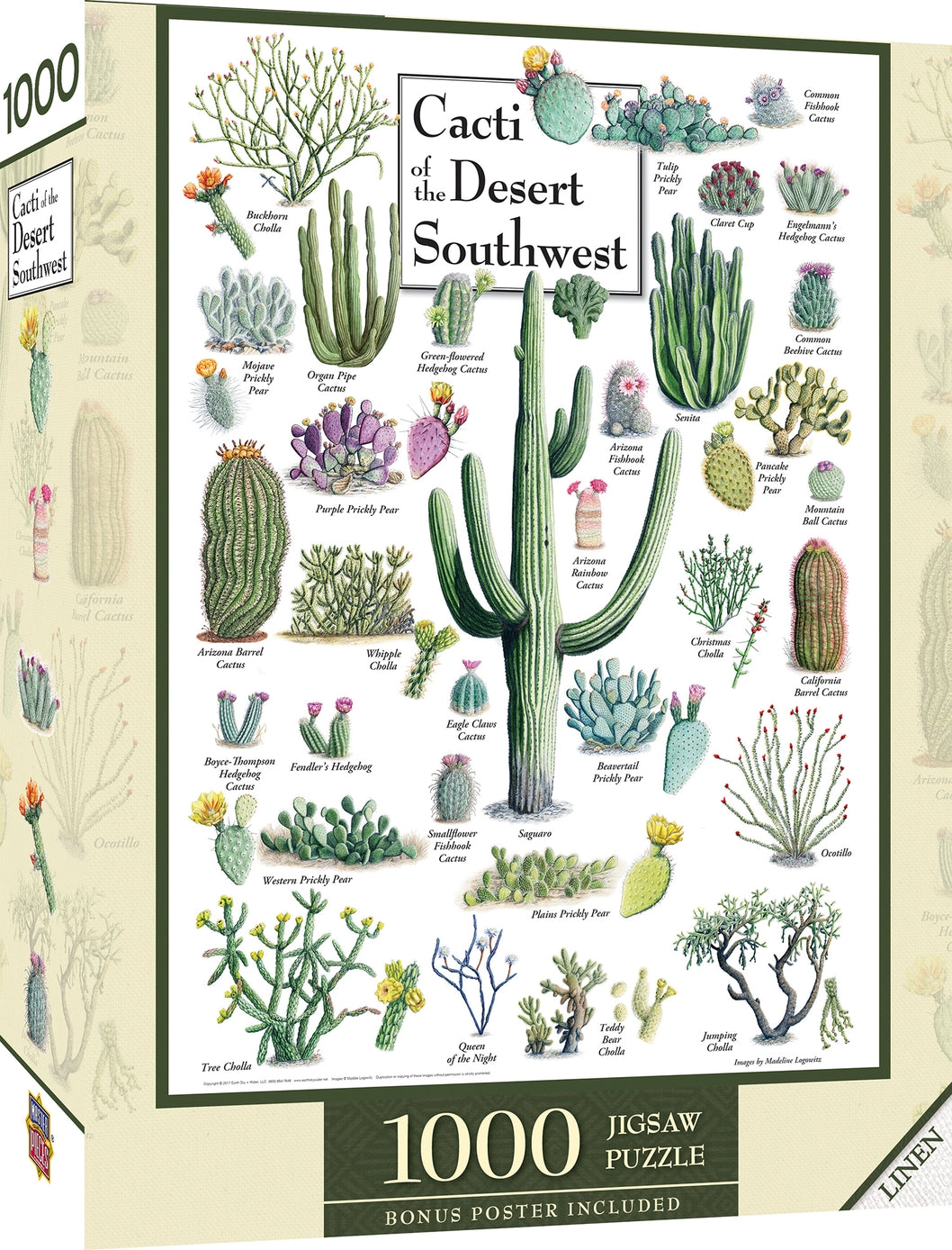 Cacti of the Desert Southwest 1000 Piece Puzzle