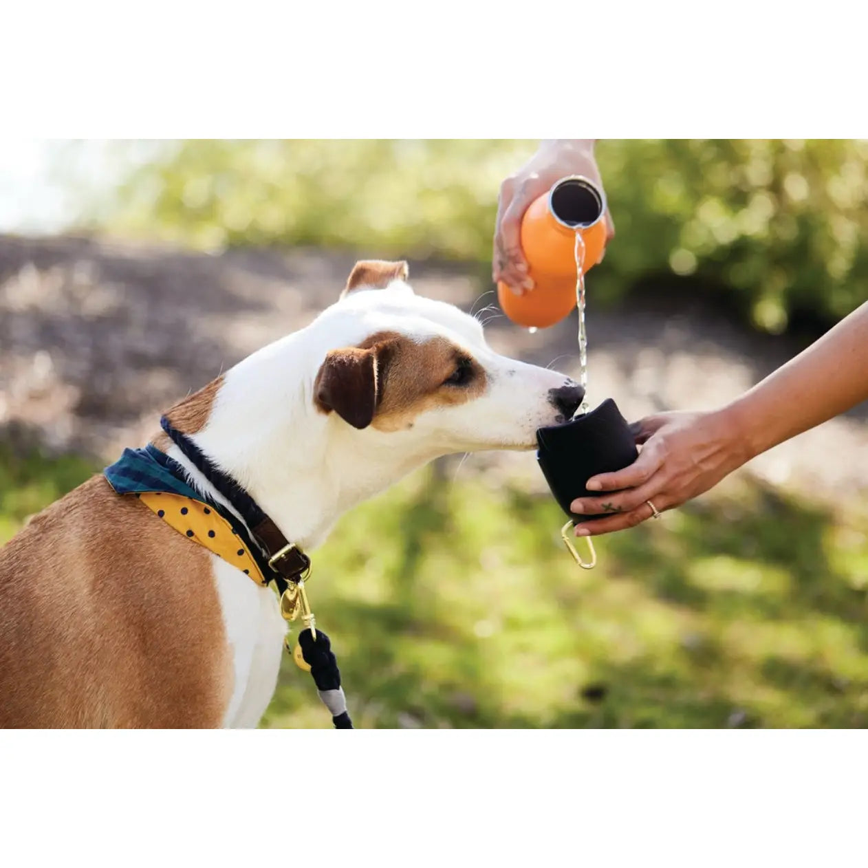 2-in-1 Dog Travel Drinking Bottle