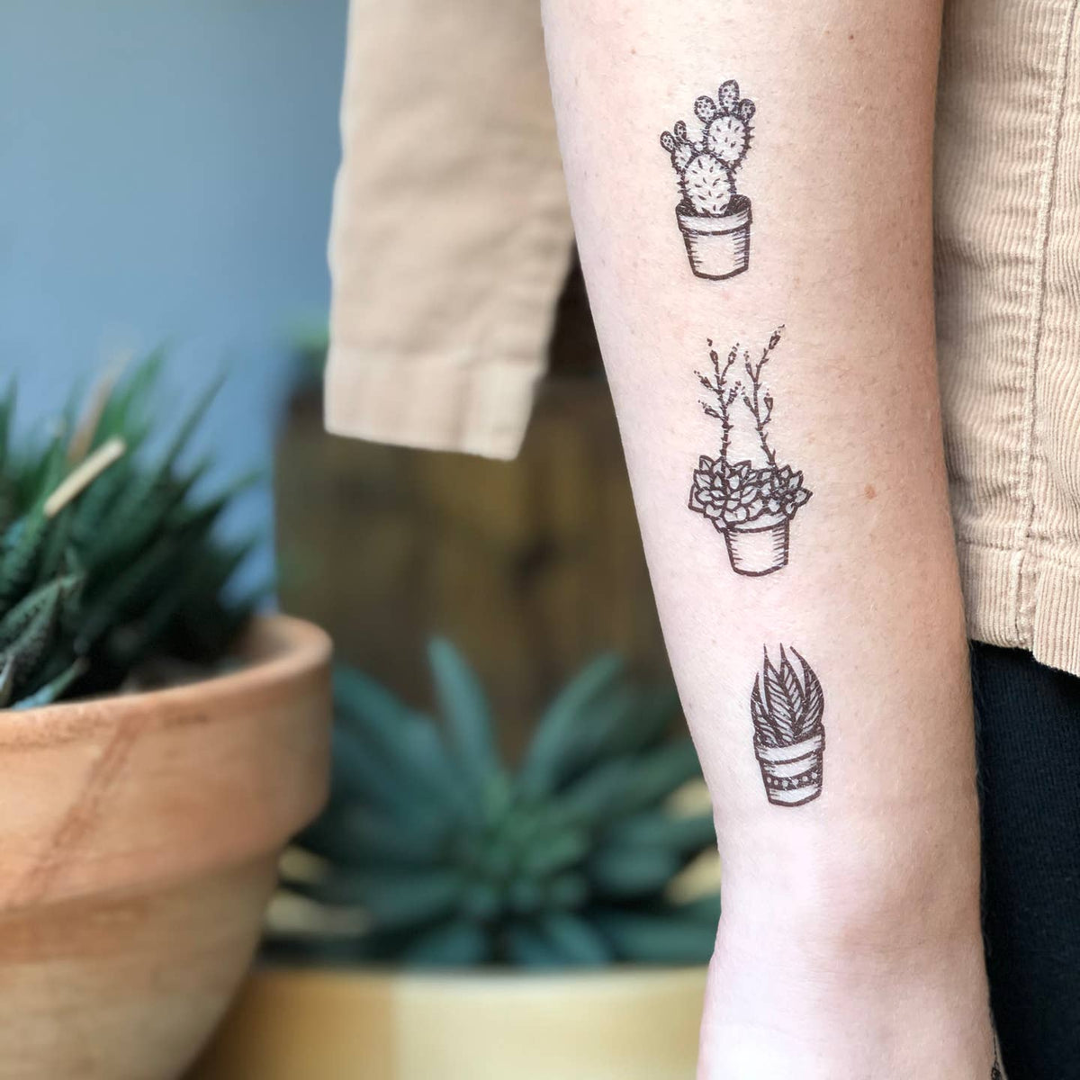 Potted Cacti Temporary Tattoo