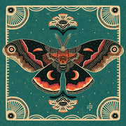 Cecropia Moth Print 8x8