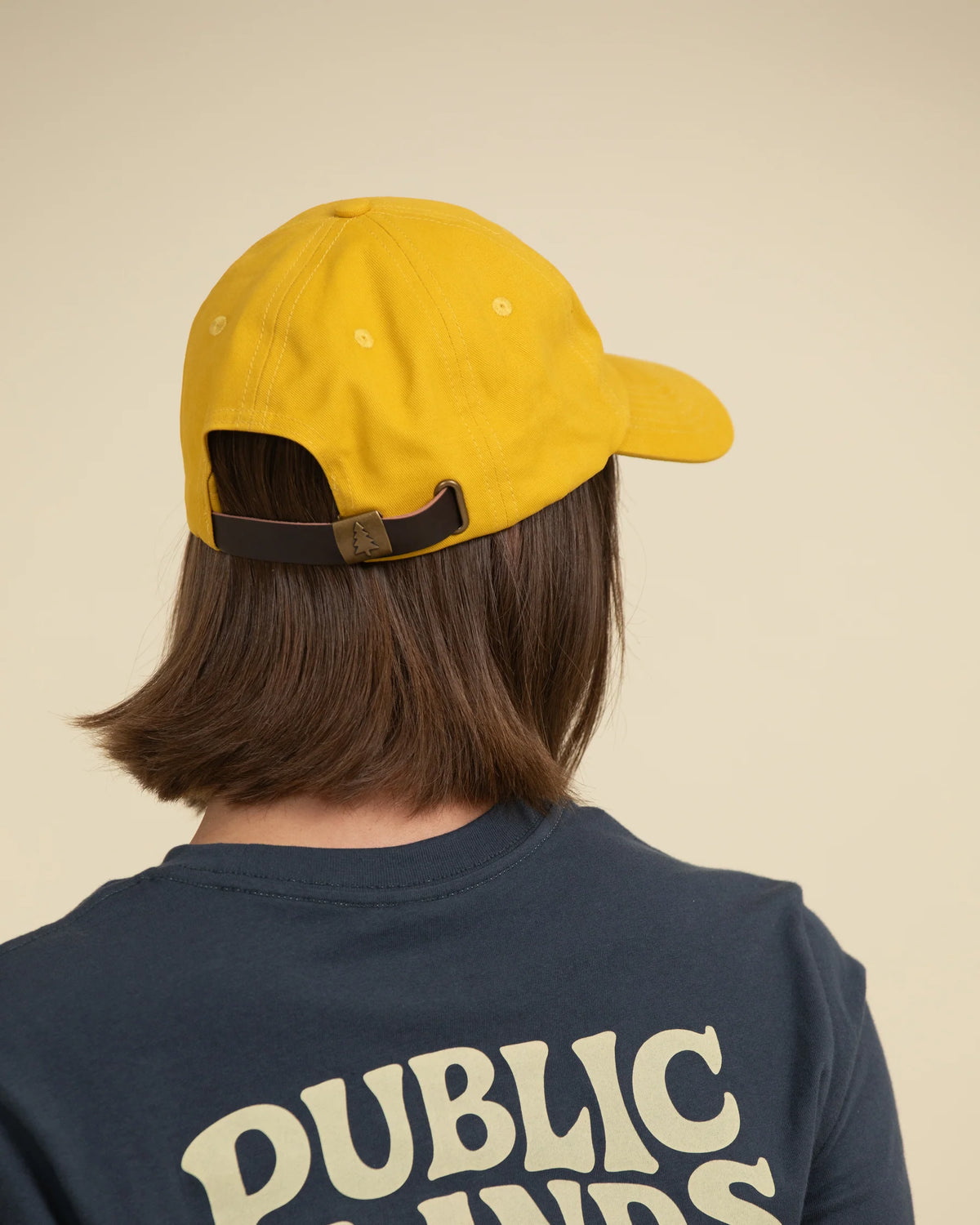 Public Lands Dad Hat