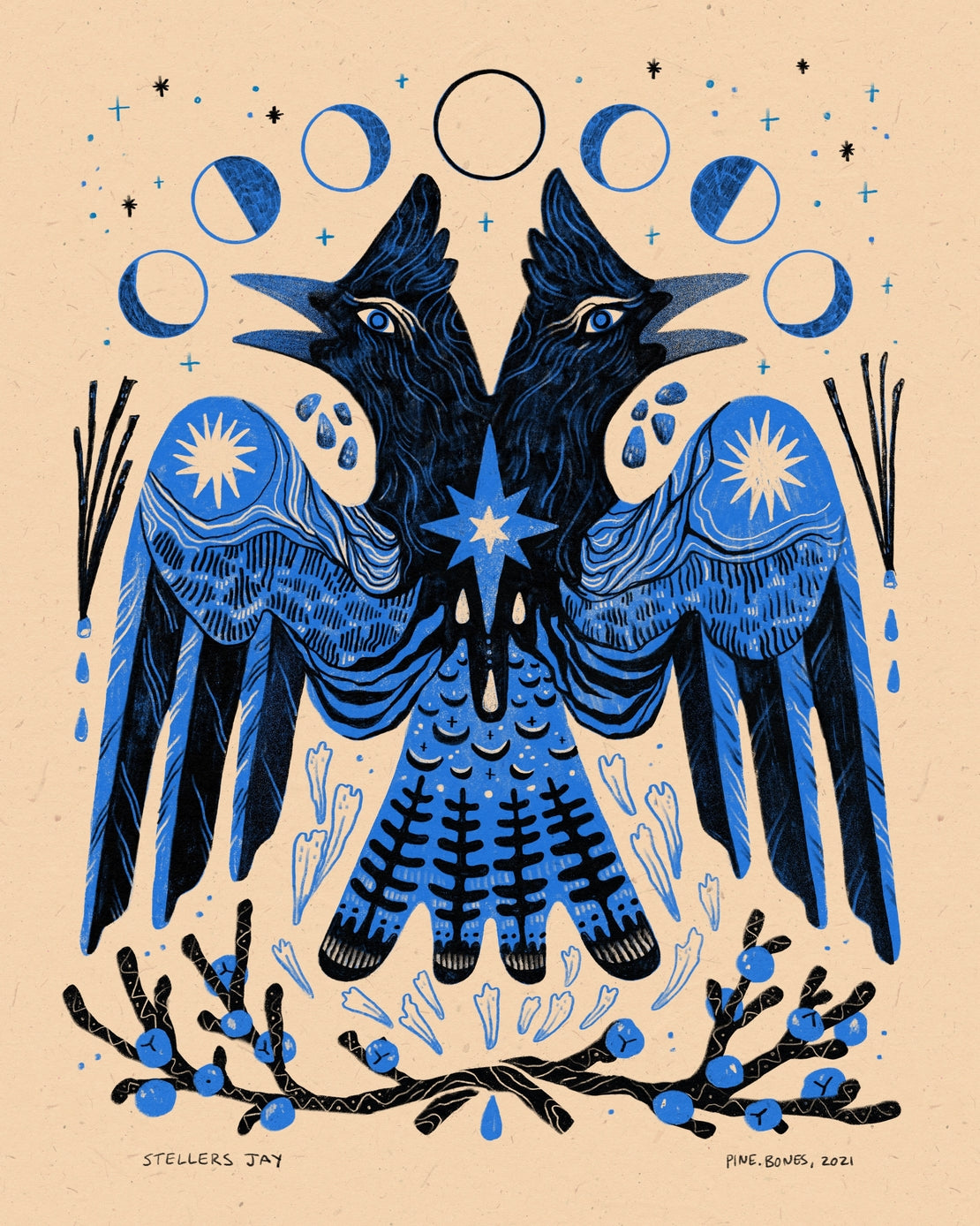 Stellers Jay - 8x10 Nature Wilderness Art Print