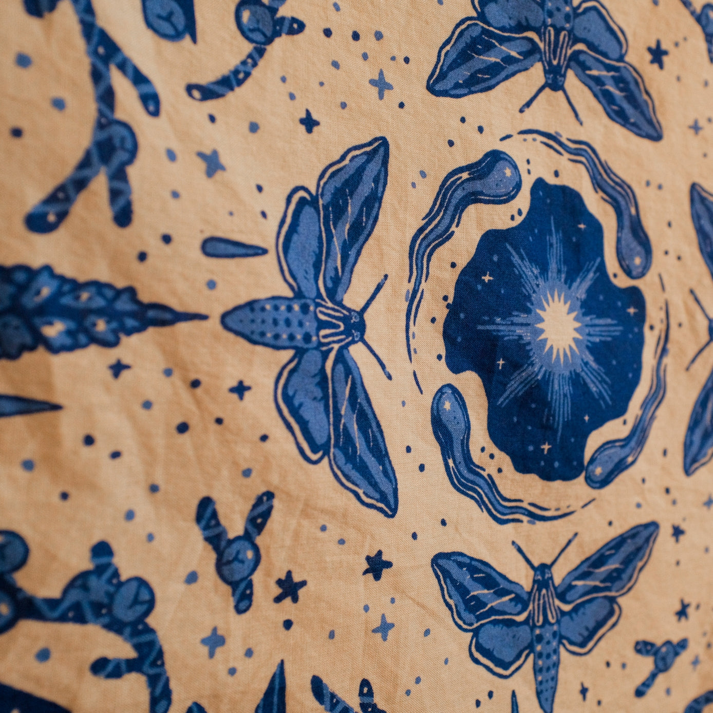 Steller’S Jay & Moths – Eco-Friendly Cotton Bandana