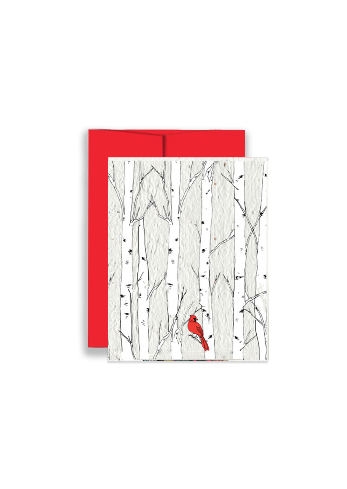 Christmas Cardinal Seed Holiday Card