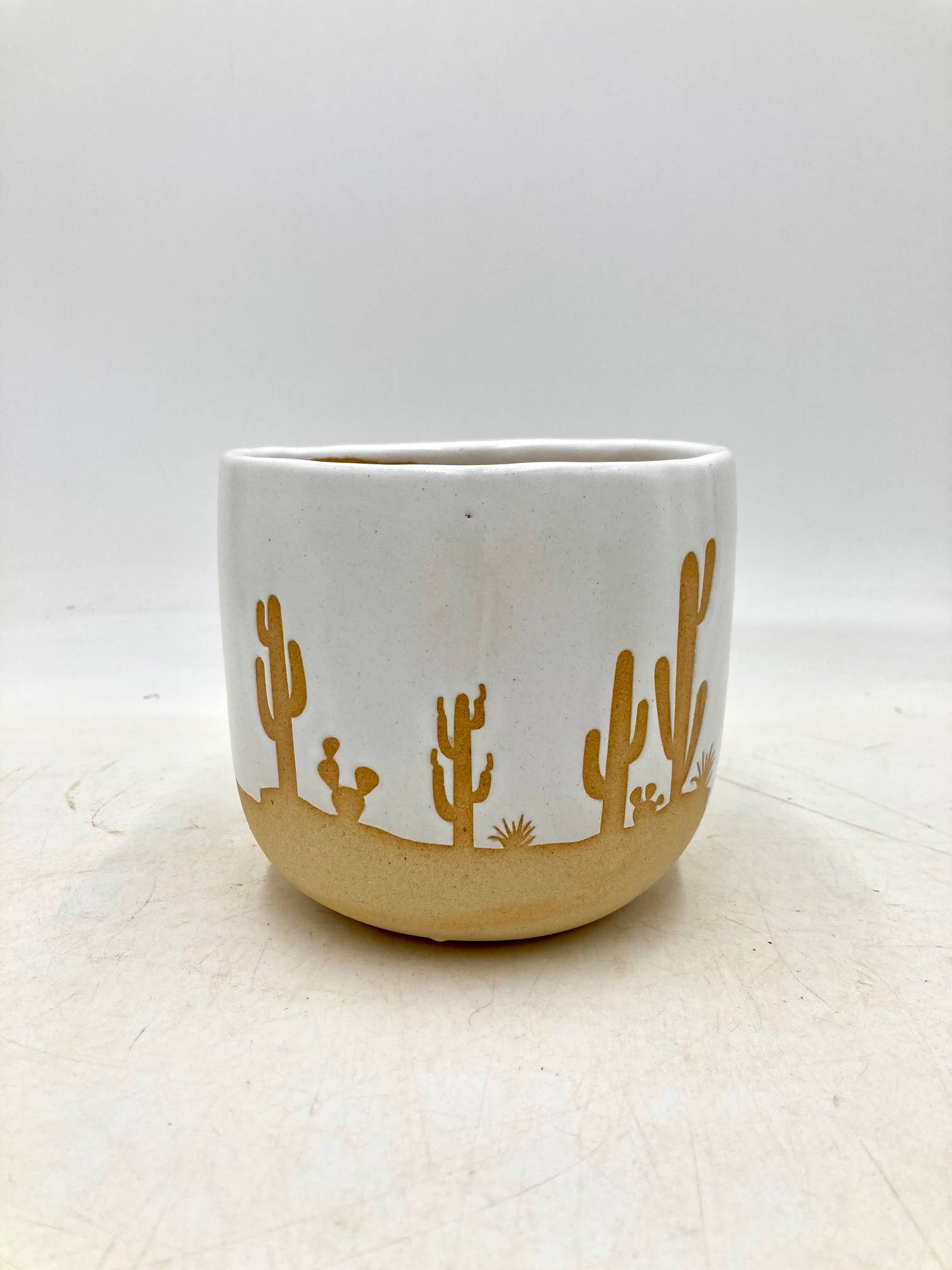 Small Cactus Clay Planter