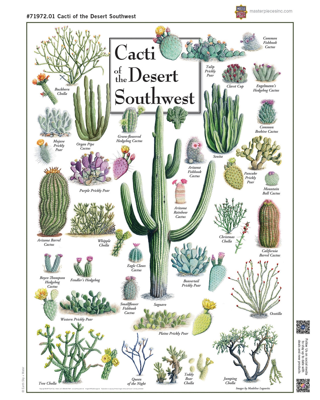 Cacti of the Desert Southwest 1000 Piece Puzzle
