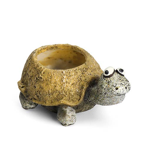 Mini Baby Tortoise Planter
