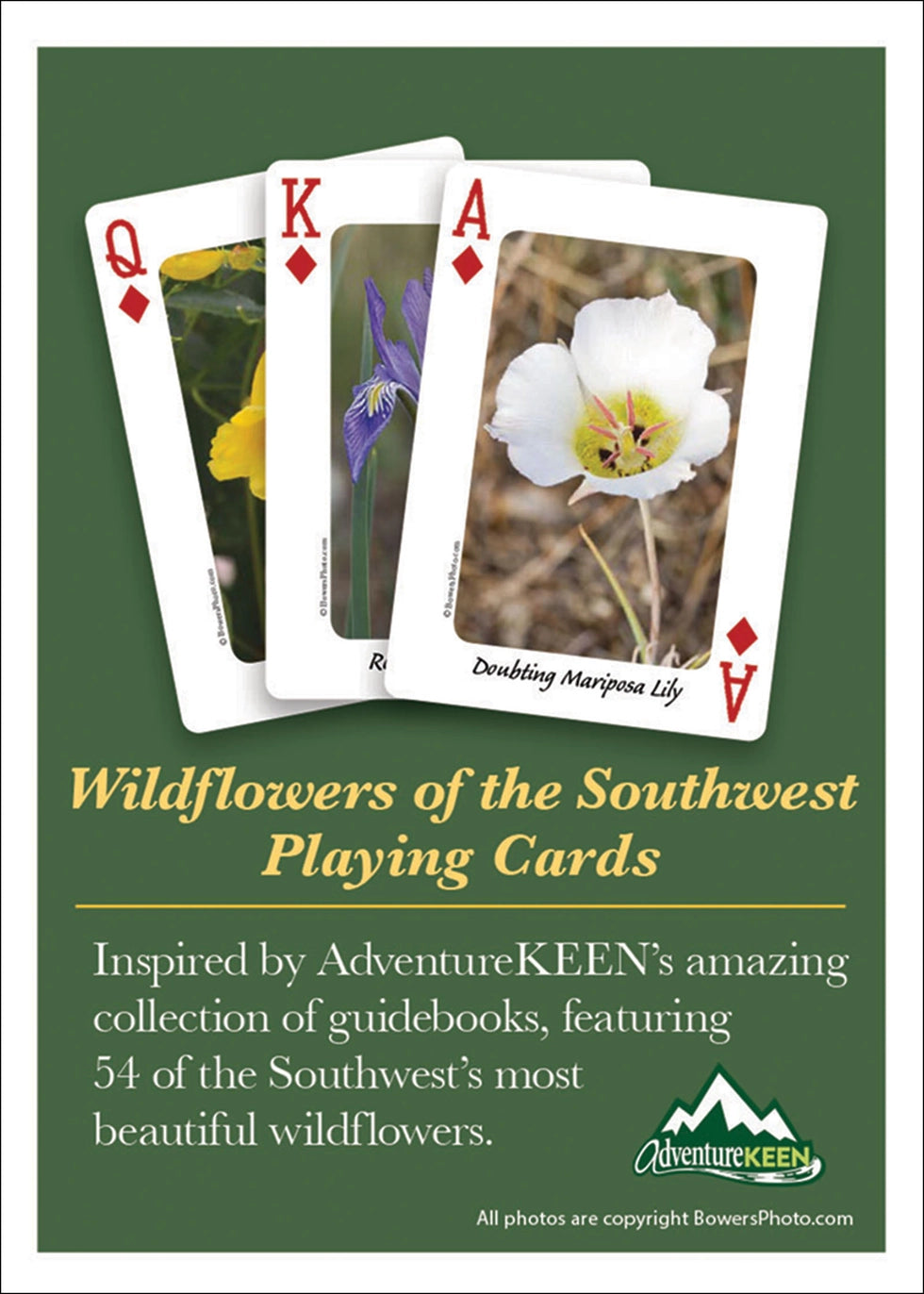 Southwest Wildflowers Playing Cards
