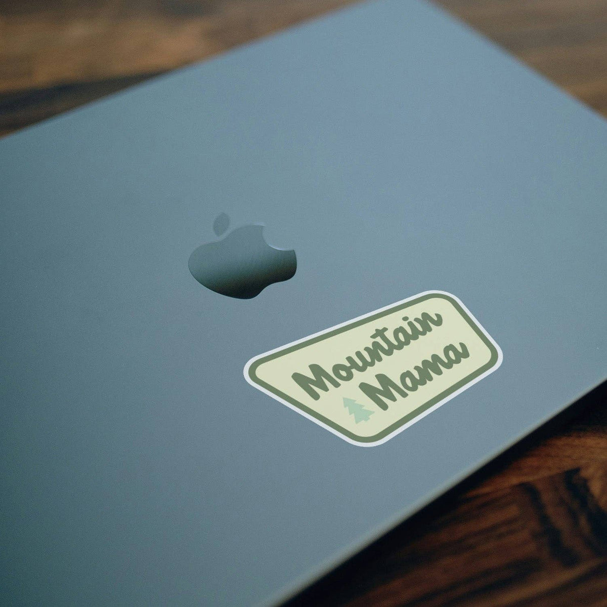 Close up of a silver laptop with a Mountain Mama sticker positioned near the corner.