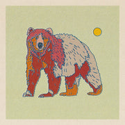 Rainbow Bear - 12 x 12 Print