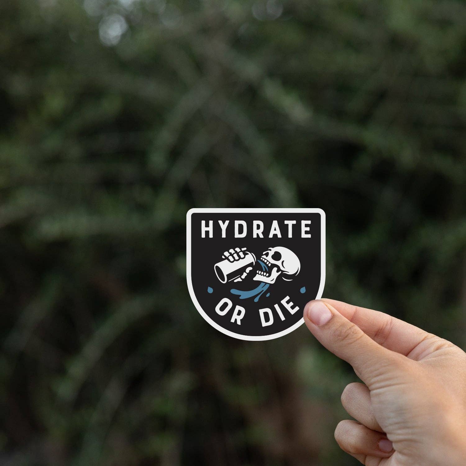 Hydrate or Die Sticker