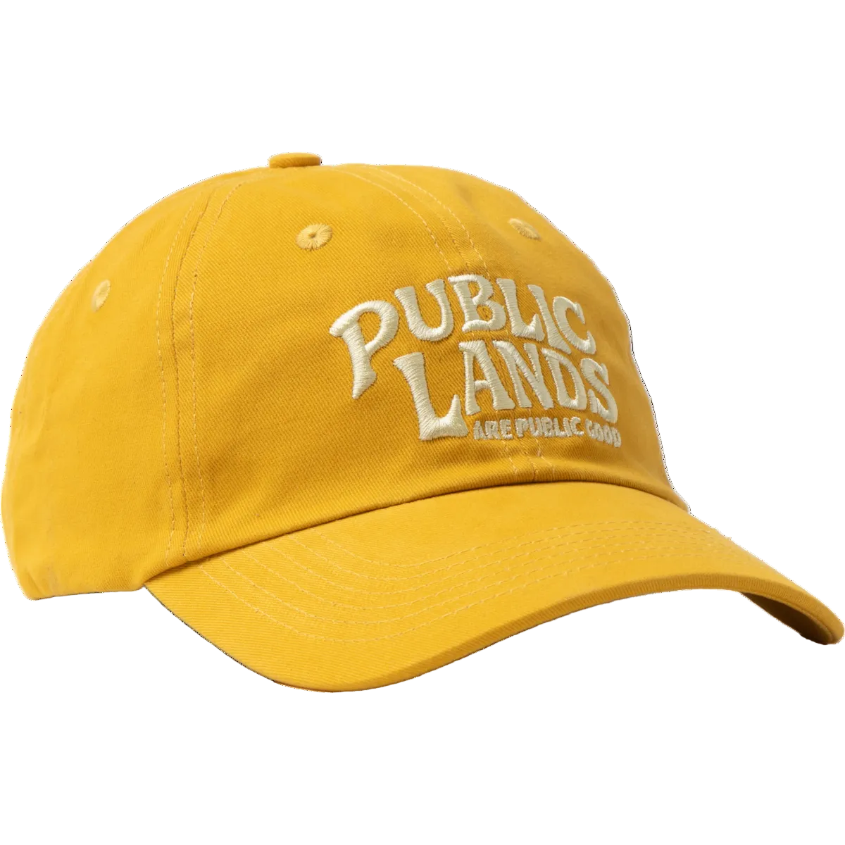 Public Lands Dad Hat