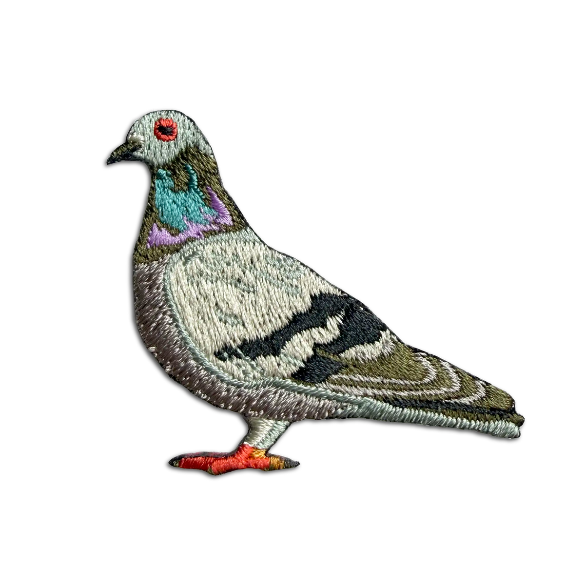 Rock Pigeon Patch