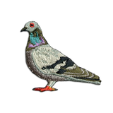 Rock Pigeon Patch