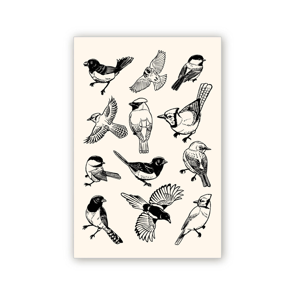 Bird Postcard design with multiple black line drawings of birds on a pale beige background