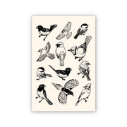 Bird Postcard