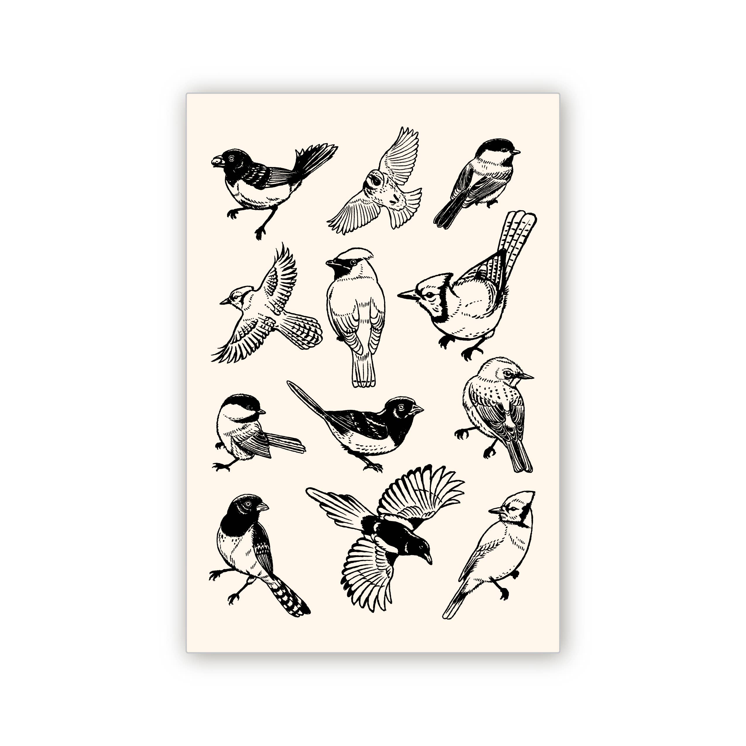 Bird Postcard