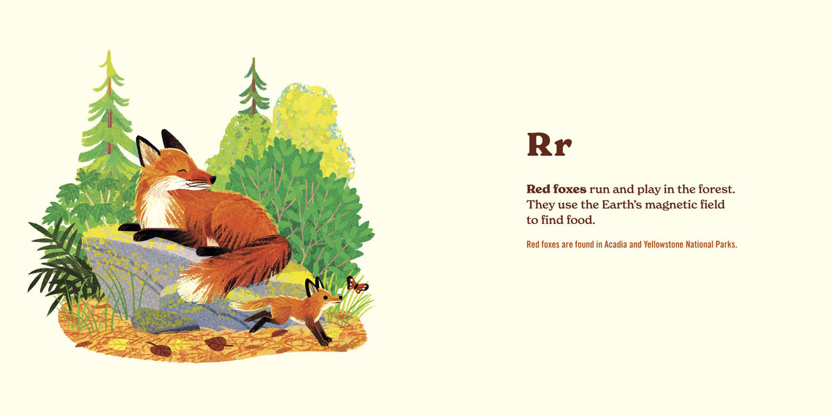 Red fox resting on a rock in a forest with trees and bushes.